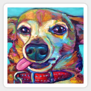 Junior the Chiweenie by artist Robert Phelps Sticker